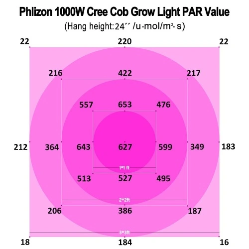 Phlizon cob online